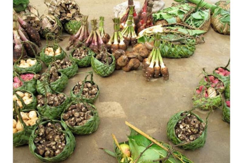 Ẩm thực đa dạng tại Vanuatu