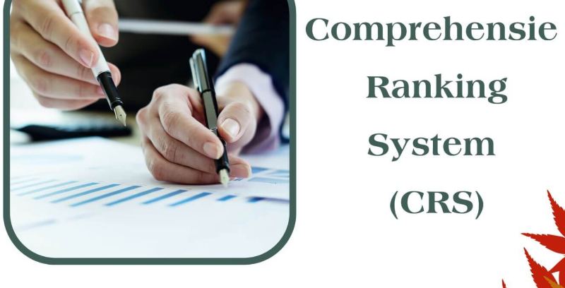 Hệ thống CRS