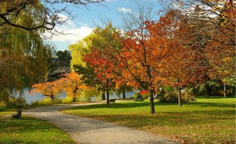 Canada sở hữu khí hậu với 4 mùa rõ rệt