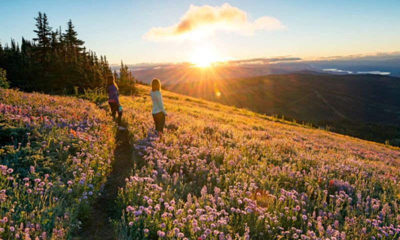 Cảnh đẹp mùa hè tại Canada