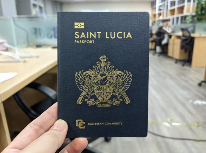 Đầu tư nhập tịch thông qua trái phiếu chính phủ 