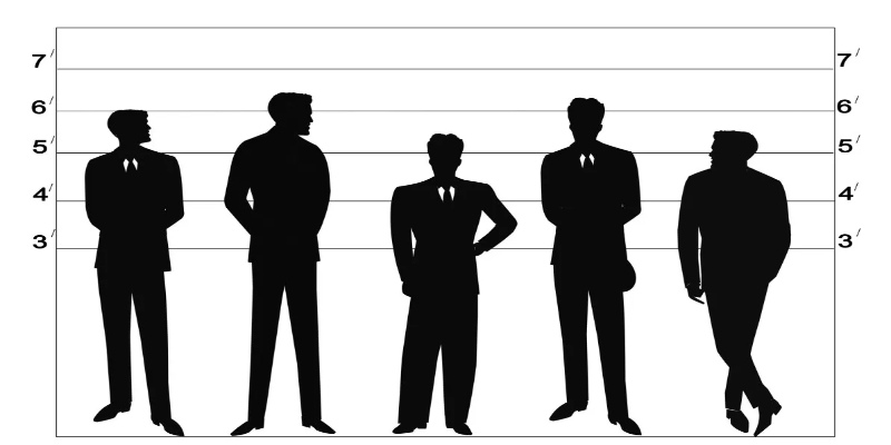 Chiều cao trung bình của người Mỹ (175.3 cm nam, 161.3 cm nữ)