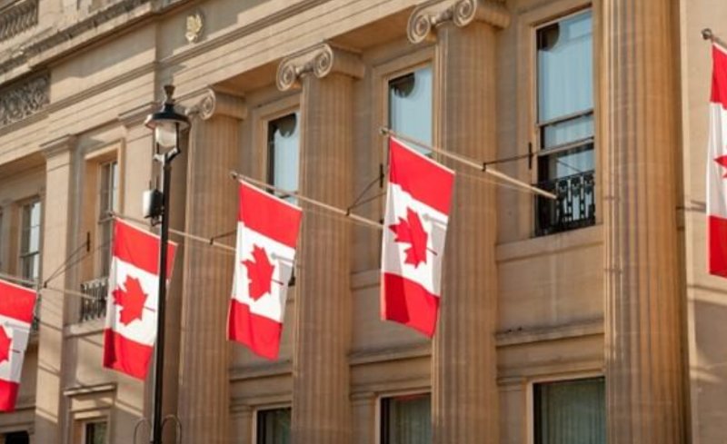 Công ty tư vấn giúp bạn tiết kiệm được phần lớn thời gian