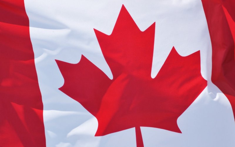 Những chuyên gia định cư sẽ giúp bạn có cái nhìn chuyên sâu hơn