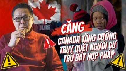 Cư Trú Bất Hợp Pháp Tại Canada: Thực Trạng Và Rủi Ro