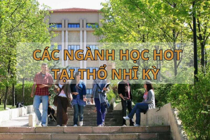 Những ngành học hot dễ xin việc làm tại Thổ