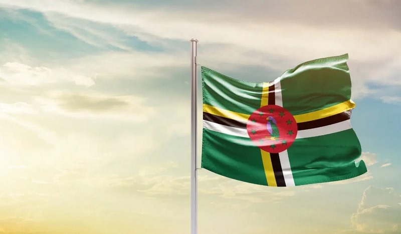 Hình ảnh chim vẹt đặc trưng của quốc đảo