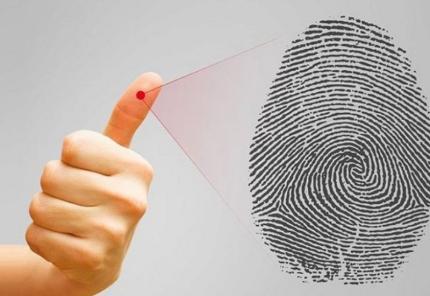 Lăn Tay Xong Bao Lâu Có Visa Du Lịch Canada? Cách Kiểm Tra