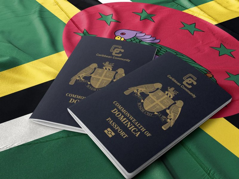 Overview of Citizenship by Investment Programs