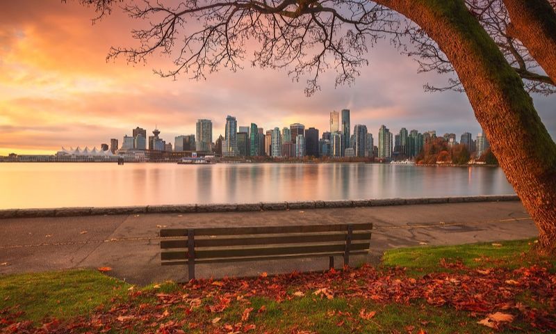 Quang cảnh công viên Stanley 