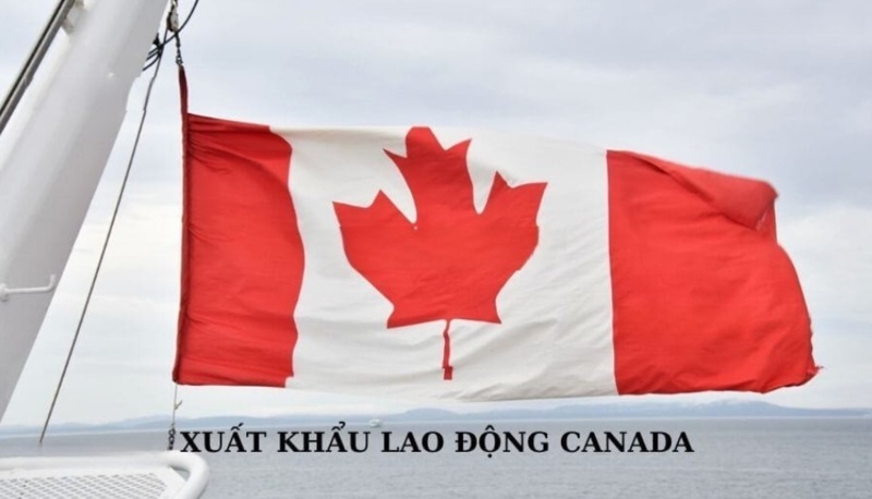 Người lao động cần đáp ứng yêu cầu độ tuổi để XKLĐ sang Canada
