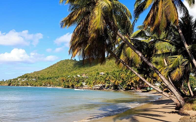 We Provide Saint Lucia Citizenship Services to Customers