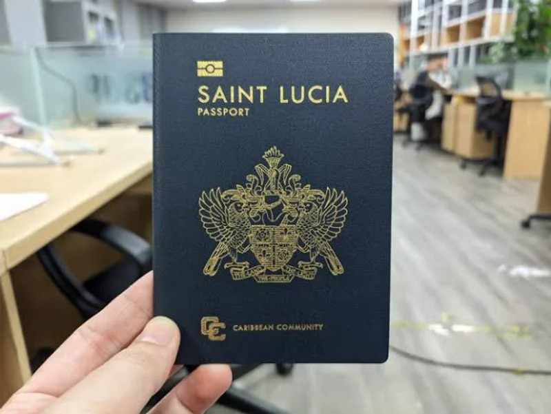 Saint Lucia has a relatively diverse structure of investment options