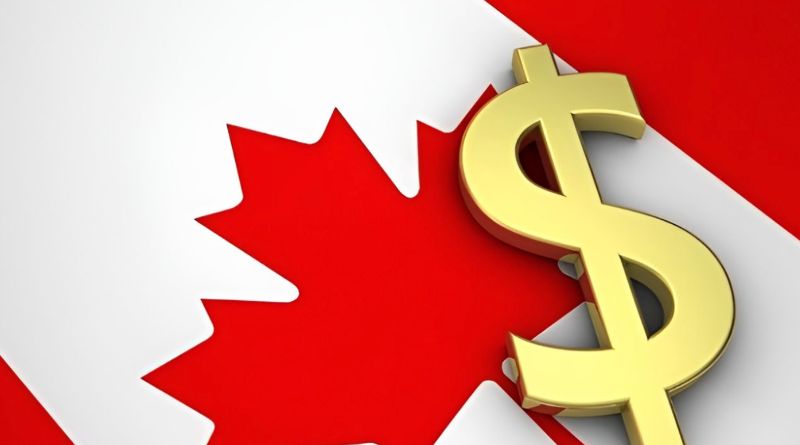 Khi có thẻ PR, bạn có thể làm việc tại bất kỳ doanh nghiệp nào của Canada