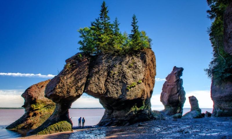 Vịnh Fundy độc đáo 