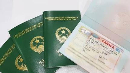 Xin Visa Du Lịch Canada: Hướng Dẫn Chi Tiết Điều Cần Biết